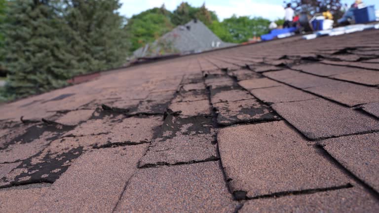 Best Asphalt Shingle Roofing  in Dortches, NC