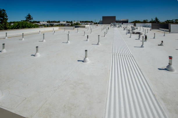 Trusted Dortches, NC Roofing Service Experts